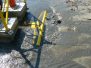 Community and Stormwater Management