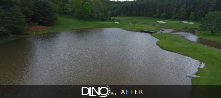 after pond dredging